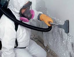 Mold Odor Removal Services in Beavercreek, OH